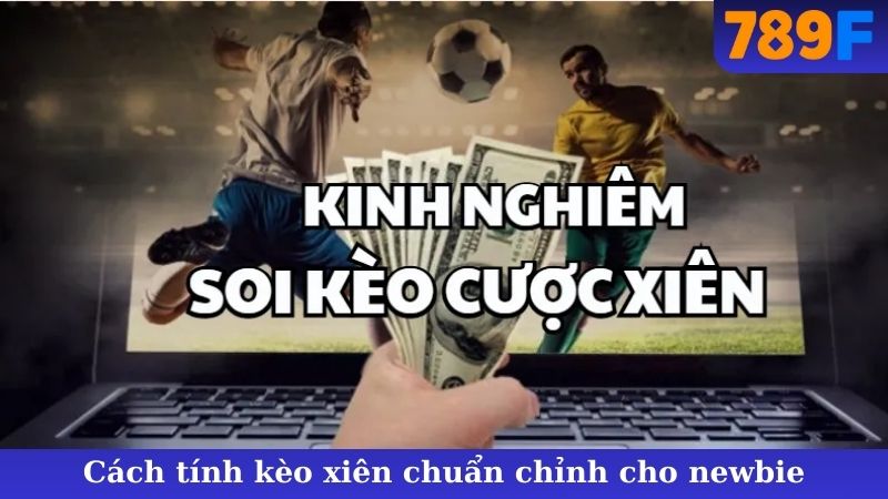 Cách tính kèo xiên chuẩn chỉnh cho newbie